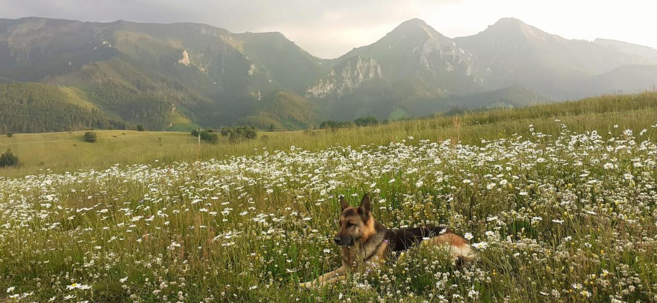 Apartman Astra V Zdiari Bagian luar foto